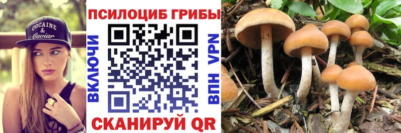 хочу Онега Галлюциногенные грибы ЛСД